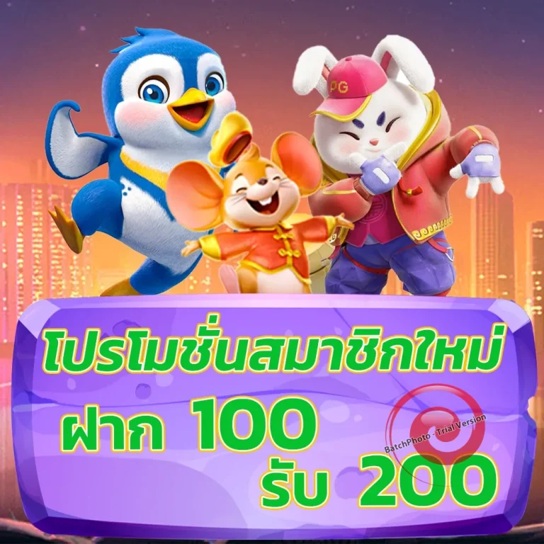 SLOTDOG88 ทางเข้า